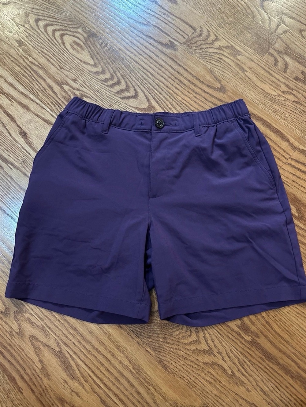 Chubbies Everywhere Swim Short Men’s Medium Purple 6”